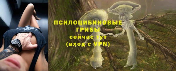 гашик Абаза