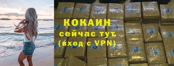 дживик Абинск