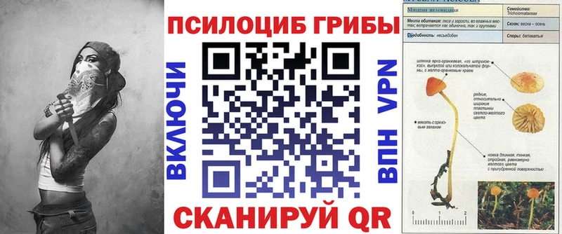 где купить наркоту  kraken рабочий сайт  Галлюциногенные грибы GOLDEN TEACHER  Тюкалинск 